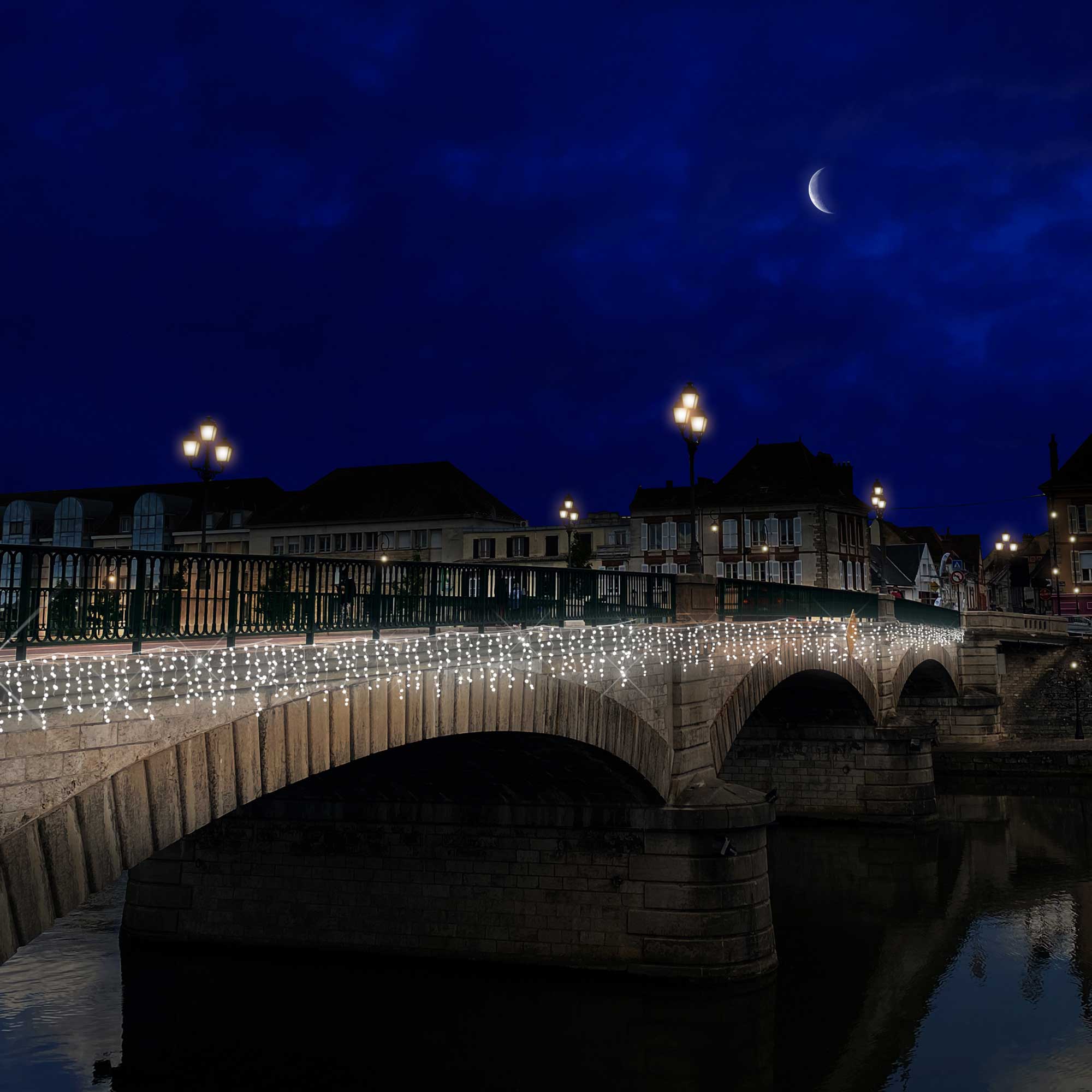 Frise scintillante H1,5 x L4m - 230V